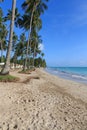 Beach in Maragogi, Alagoas - Brazil Royalty Free Stock Photo