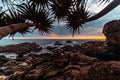 Beach morning sunrise waves water trees