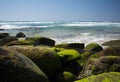 Beach and Mossy Rocks