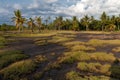 Path of the National west park in Bali