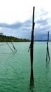 Beach nature trees fisherman sky