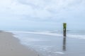 Beach near Domburg town in spring fresh morning with cloudy sky