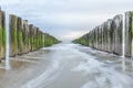 Beach near Domburg town in spring fresh morning with cloudy sky