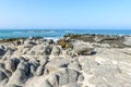 Beach near Hasik, Dhofar (Oman) Royalty Free Stock Photo