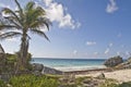 Beach near Mayan ruin in Tulum Royalty Free Stock Photo