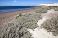 Beach near Puerto Madryn, a city in Chubut Province, Patagonia, Argentina Royalty Free Stock Photo