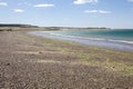 Beach near Puerto Madryn, a city in Chubut Province, Patagonia, Argentina