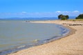 Beach near Thames, New Zealand