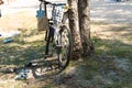 on the beach near a tree in the shade there is a bicycle, on it a beach bag and shoes under it