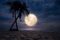 Beach in night sky, full moon Royalty Free Stock Photo