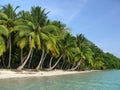 Beach no. 5, Havelock Island, Andaman Islands, Ind