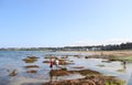 Beach at North Berwick