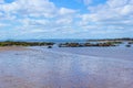The beach in North Berwick, Scotland Royalty Free Stock Photo