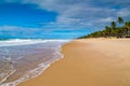 Tropical empty beach of the north of brasil