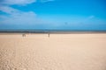 Beach of the North Sea in Koksijde, Belgium under blue sky