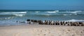 Beach on the north sea. Sylt Island