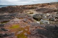 Beach on the northern ocean is made of stones covered with colorful moss. Teriberka, Barents Sea, Murmansk region, Kola Peninsula Royalty Free Stock Photo