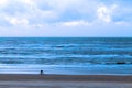 Beach of the northern sea in winter. A lone bicyclist