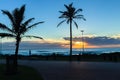 Beach Ocean Dawn Trees Silhouetted