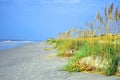 Footprints on Hilton Head Island Beach