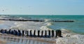 Beach and ocean panorama in mexico chelem Royalty Free Stock Photo