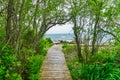 Beach Ocean Path Boardwalk Forest Trees Padnaram Dartmouth Massachusetts Royalty Free Stock Photo