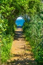 Beach Ocean Path Boardwalk Forest Trees Padnaram Dartmouth Massachusetts Royalty Free Stock Photo