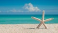 Beach, Ocean, Starfish. Summer vacations. Atlantic Ocean. Florida paradise. Sunny day. Beautiful View