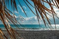 Beach ocean summer and palm tree with umbrella. summertime coast Royalty Free Stock Photo