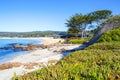 Beach. Pacific Northwest north of Seattle. Royalty Free Stock Photo