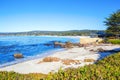 Beach. Pacific Northwest north of Seattle. Royalty Free Stock Photo