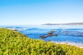 Beach. Pacific Northwest north of Seattle. Royalty Free Stock Photo