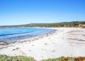 Beach. Pacific Northwest north of Seattle. Royalty Free Stock Photo