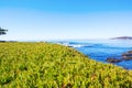 Beach. Pacific Northwest north of Seattle. Royalty Free Stock Photo