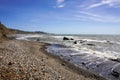 Beach on the Pacific Ocean coast, California Royalty Free Stock Photo