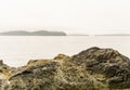 Beach on Pacific Ocean Coast morning and fog Vancouver Island Canada. Royalty Free Stock Photo