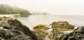 Beach on Pacific Ocean Coast morning and fog Vancouver Island Canada. Royalty Free Stock Photo