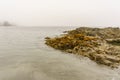 Beach on Pacific Ocean Coast morning and fog Vancouver Island Canada. Royalty Free Stock Photo