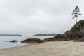 Beach on Pacific Ocean Coast morning and fog Vancouver Island Canada. Royalty Free Stock Photo