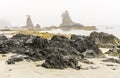 Beach on Pacific Ocean Coast morning and fog Vancouver Island Canada. Royalty Free Stock Photo