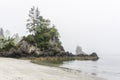 Beach on Pacific Ocean Coast morning and fog Vancouver Island Canada. Royalty Free Stock Photo