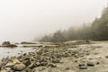 Beach on Pacific Ocean Coast morning and fog Vancouver Island Canada. Royalty Free Stock Photo