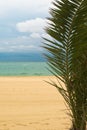 Beach with palm Royalty Free Stock Photo