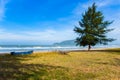 Beach, Palm Tree, Coconut Palm Tree, Tropical Climate, Sand