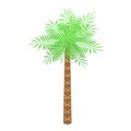 Beach palm tree icon, isometric style Royalty Free Stock Photo