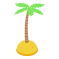 Beach palm tree icon, isometric style Royalty Free Stock Photo