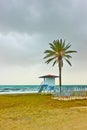 Beach with palm tree and life guard tower Royalty Free Stock Photo