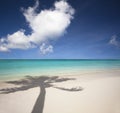 beach and palm tree shadow Royalty Free Stock Photo