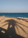 Beach palm tree shadow sea summer sand Royalty Free Stock Photo