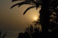 Beach with palm tree at sunset Royalty Free Stock Photo